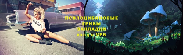 спайс Алзамай