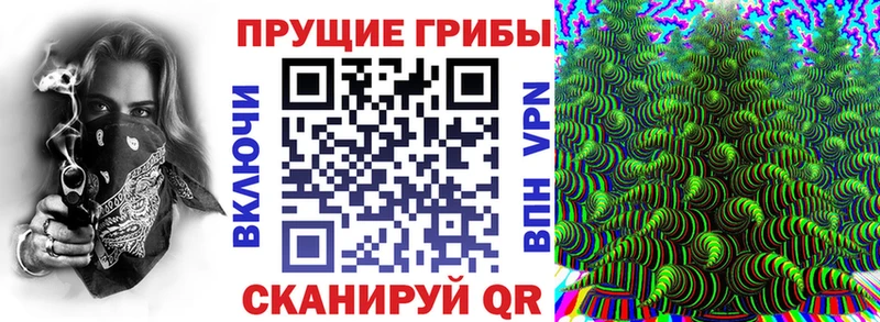 Купить  Ядрин  Псилоцибиновые грибы ЛСД 