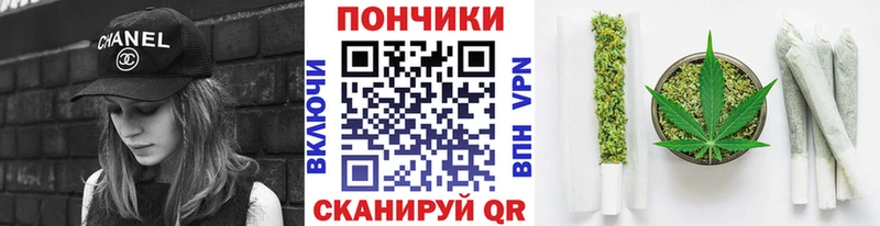 Бошки Шишки гибрид  Купить закладки  Ядрин 